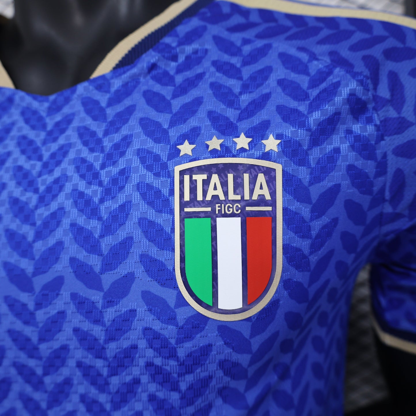 Italy "Azzurri Laurel" Special Kit