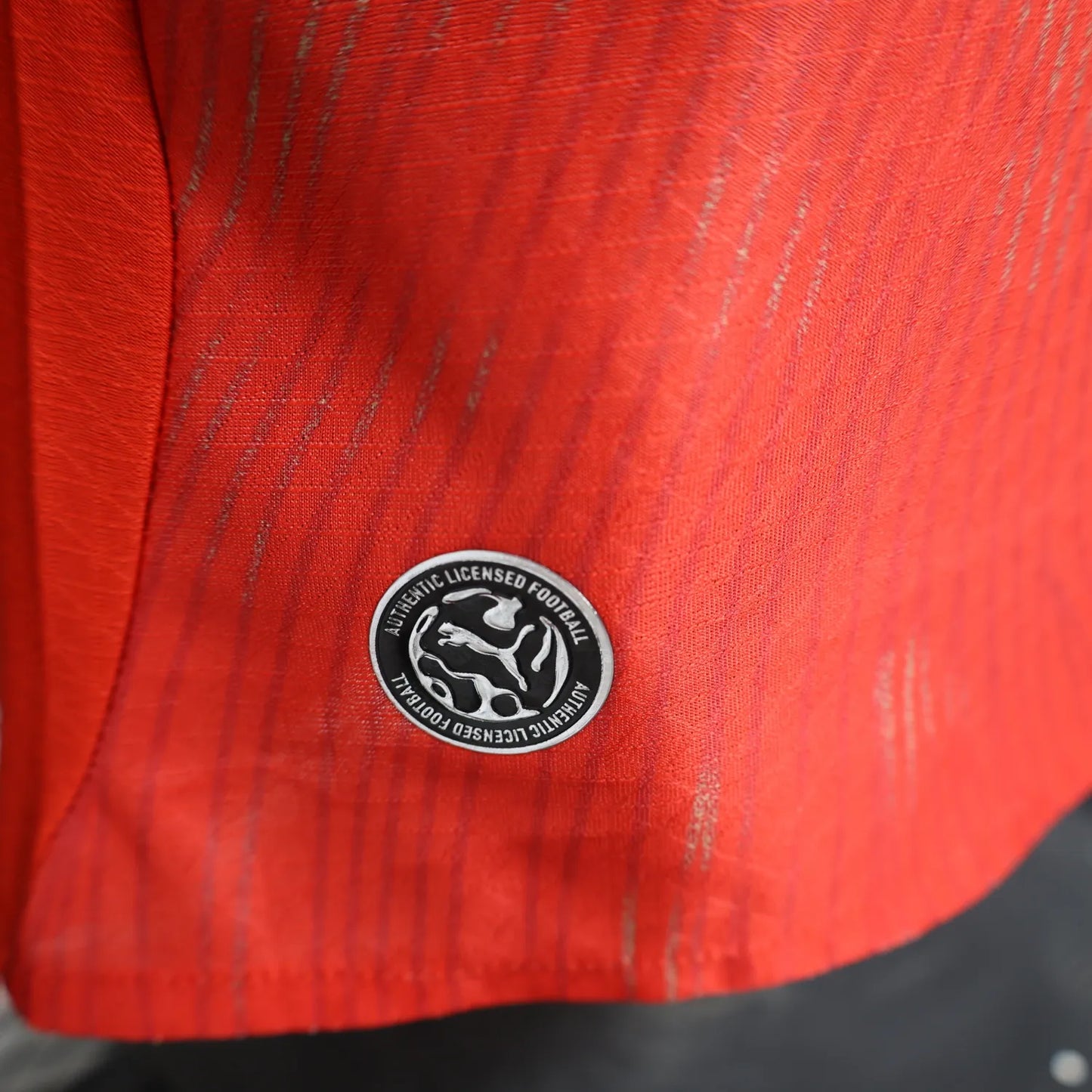 Switzerland "Alpine Contour" World Cup Special Kit