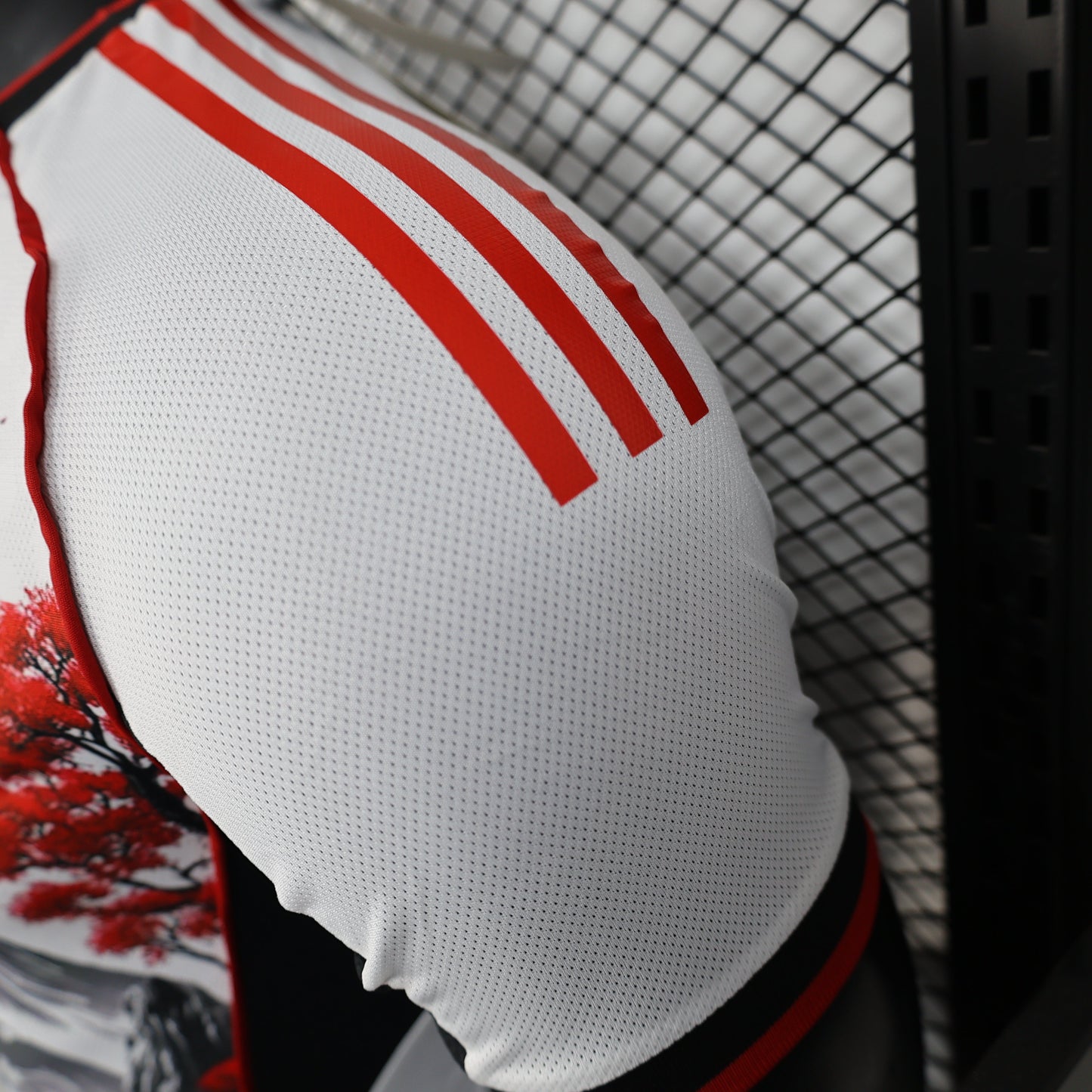 Japan "Mount Fuji Heritage" Special Kit